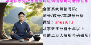 数字能量学天医的含义