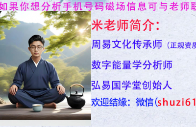 数字能量学传承师