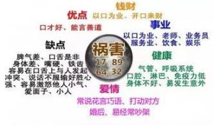 祸害数字能量意思