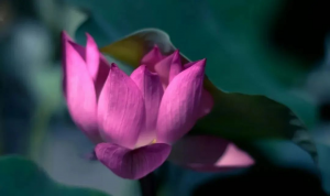八极灵数数字能量