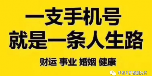 数字磁场解析车牌号码